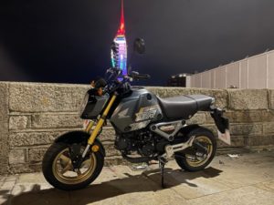 Honda MSX (RE23OVV)